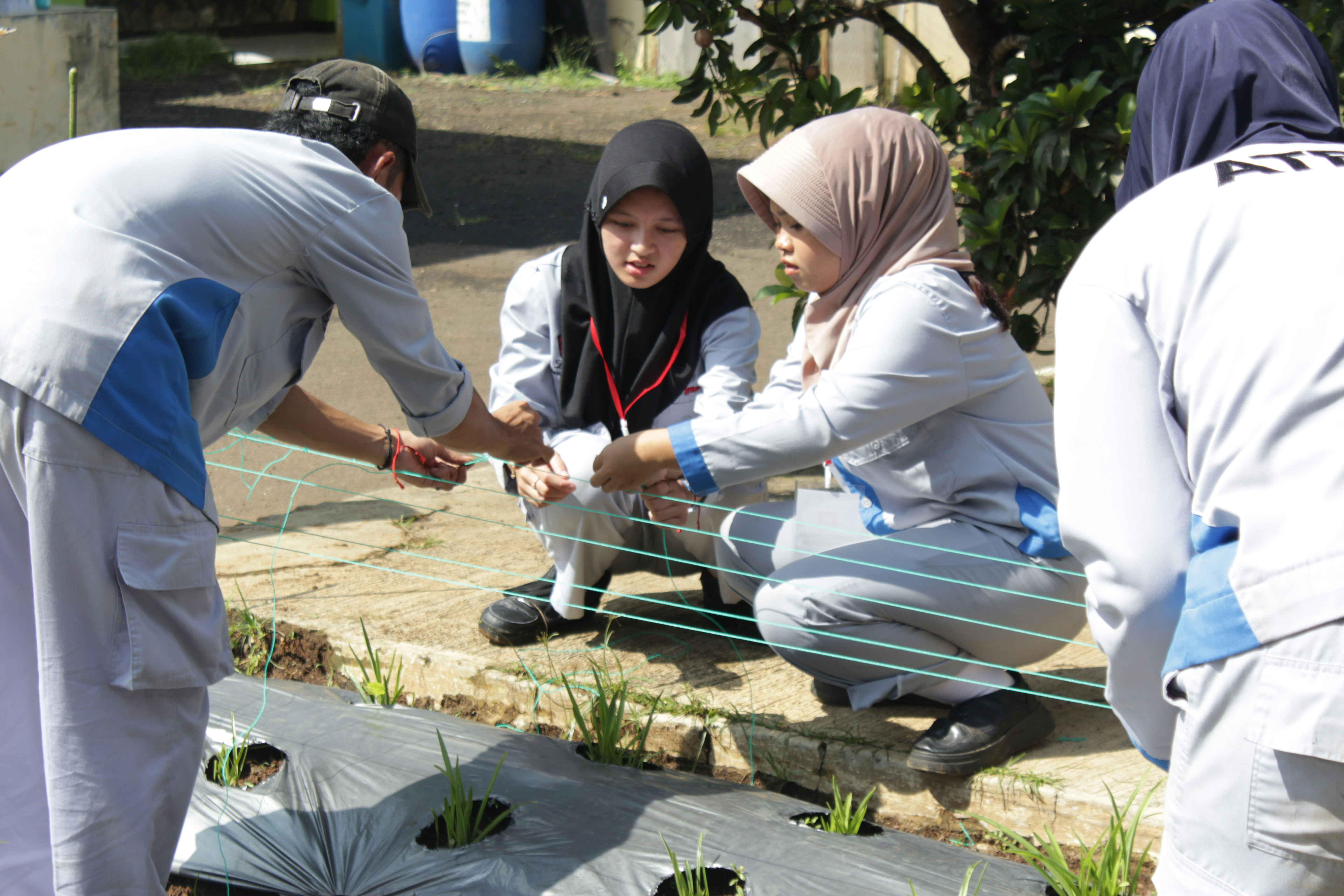 Community Garden in Jakarta
